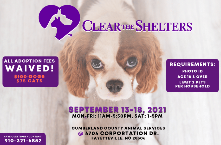 clearshelters21
